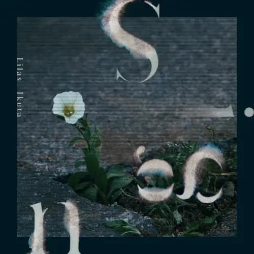 [แปลไทย] Sign - Lilas